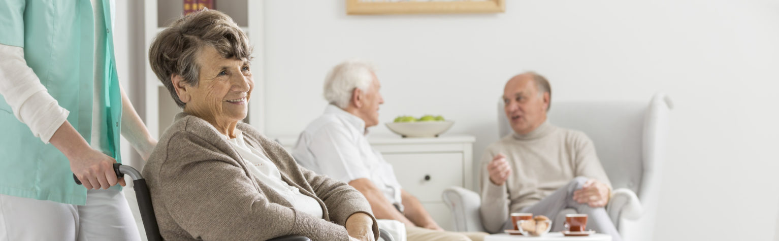 Older disabled woman on a wheelchair and her carer